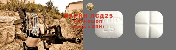 твердый Дмитров