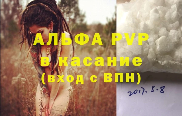 твердый Дмитров