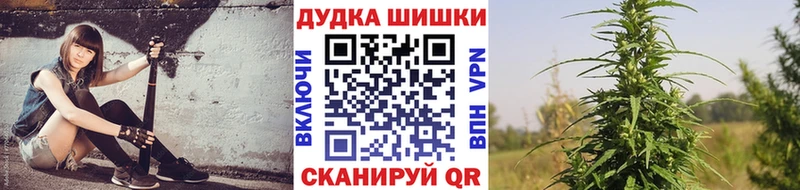 Бошки Шишки семена  где купить наркотик  Калач 
